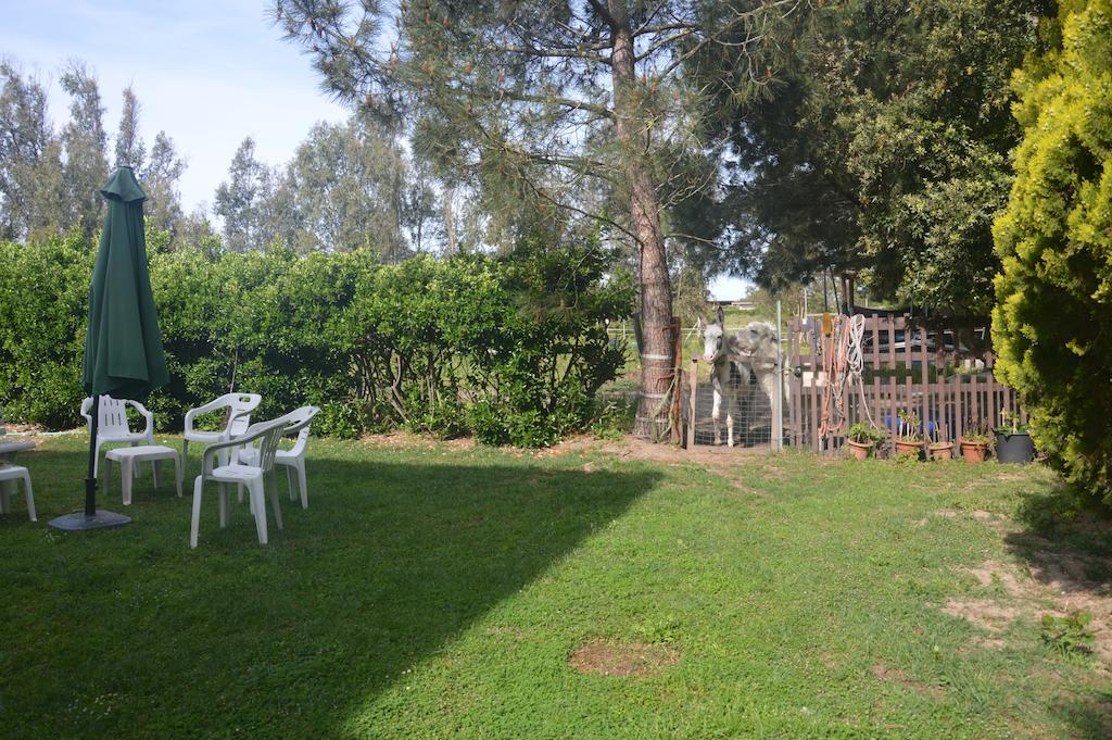 B&B Fra E Fe Arborea Exterior foto